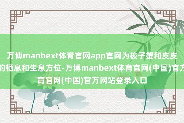 万博manbext体育官网app官网为梭子蟹和皮皮虾提供了高超的栖息和生息方位-万博manbext体育官网(中国)官方网站登录入口