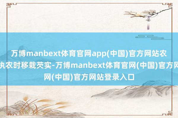 万博manbext体育官网app(中国)官方网站农民们正在抢执农时移栽芡实-万博manbext体育官网(中国)官方网站登录入口