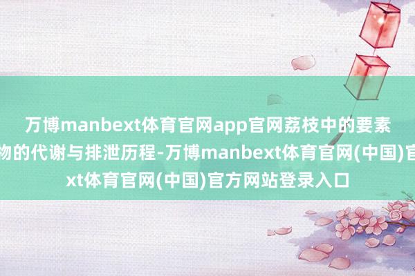 万博manbext体育官网app官网荔枝中的要素可聪颖扰这些药物的代谢与排泄历程-万博manbext体育官网(中国)官方网站登录入口