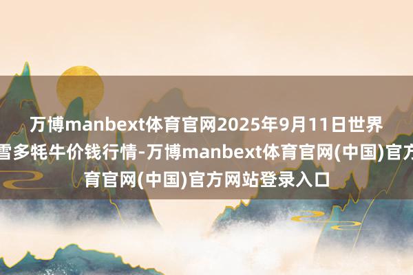 万博manbext体育官网2025年9月11日世界主要批发市集雪多牦牛价钱行情-万博manbext体育官网(中国)官方网站登录入口